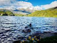 Lake St. Moritz – A Year-Round Alpine Icon