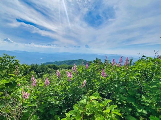 Noinbong Summit
