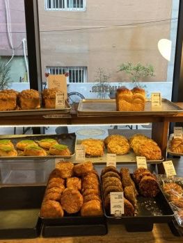 🥐 은평구 베이커리 카페 펀스터 후기 ☕️