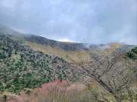 Baekrokdam at Hallasan Was Straight-Up Magical 