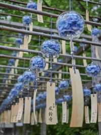 【京都/宇治】風鈴飾りが話題のお寺、正寿院🎐 
