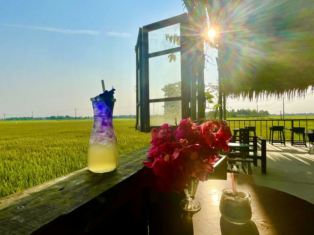 LÒ GẠCH CŨ FARM