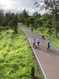 台灣東部 後花園 台東森林公園