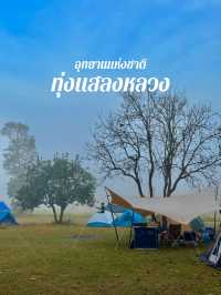อุทยานแห่งชาติ ทุ่งแสลงหลวง ⛺️🌳