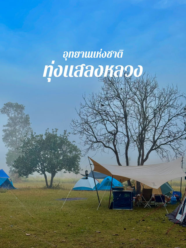 อุทยานแห่งชาติ ทุ่งแสลงหลวง ⛺️🌳