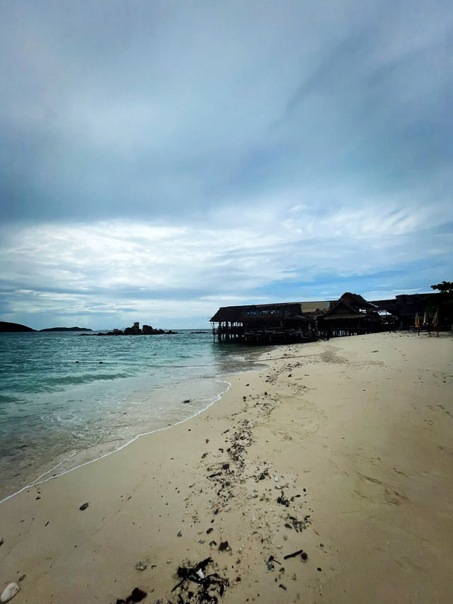 タイにある猫島🐈🇹🇭野良猫ちゃんと一緒に過ごせるリゾート・カイ島🐬🏝🌺