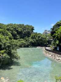 北投除了泡湯，這 5 個免費景點才是真正的本地寶藏 ✅