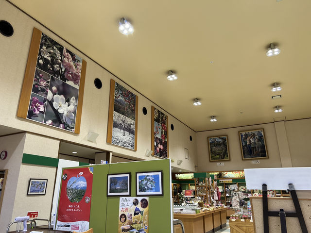 🍏 Sweet Apple Delights at Ringo no Ie Café – A Cozy Treat in Hirosaki