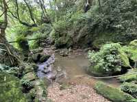 草山觀瀑吊橋。猴崁圳古道