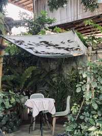 PEMA Cafe - Chiangmai คาเฟ่ไม้ตกแต่งสไตล์ล้านนา