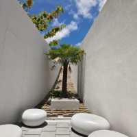 Palyn Cafe & Eatery 
