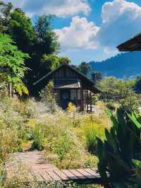 Mori Natural Farm โมริ เนเชอรัลฟาร์ม 