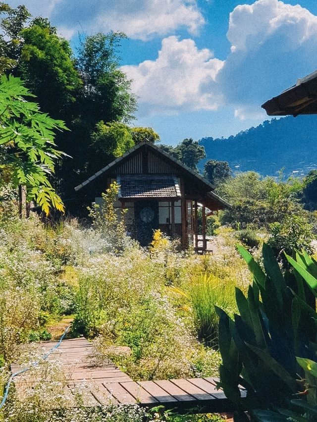 Mori Natural Farm โมริ เนเชอรัลฟาร์ม 