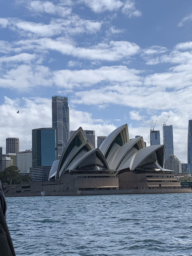호주 가볼만한 도시 추천 🇦🇺🐨