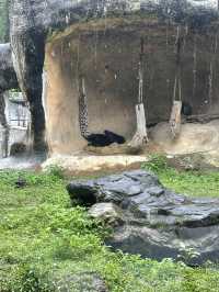｜台灣｜台北市立動物園-動物世界探險