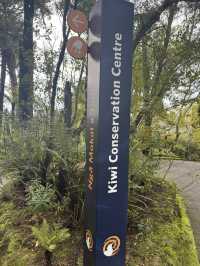 Turn hot Asia summer into cool Winter Oceania New Zealand 