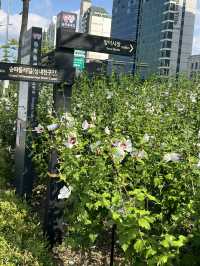 공원과 산책로