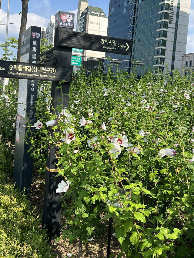 공원과 산책로