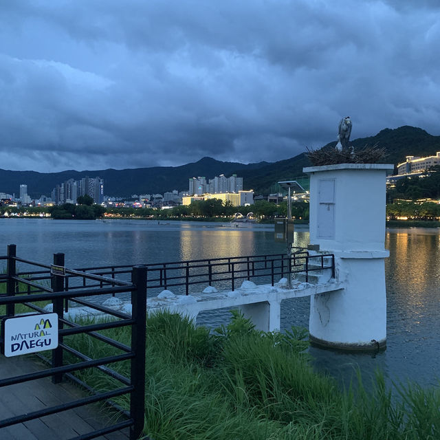 도심 속 숨은 산책 명소, 대구 수성못