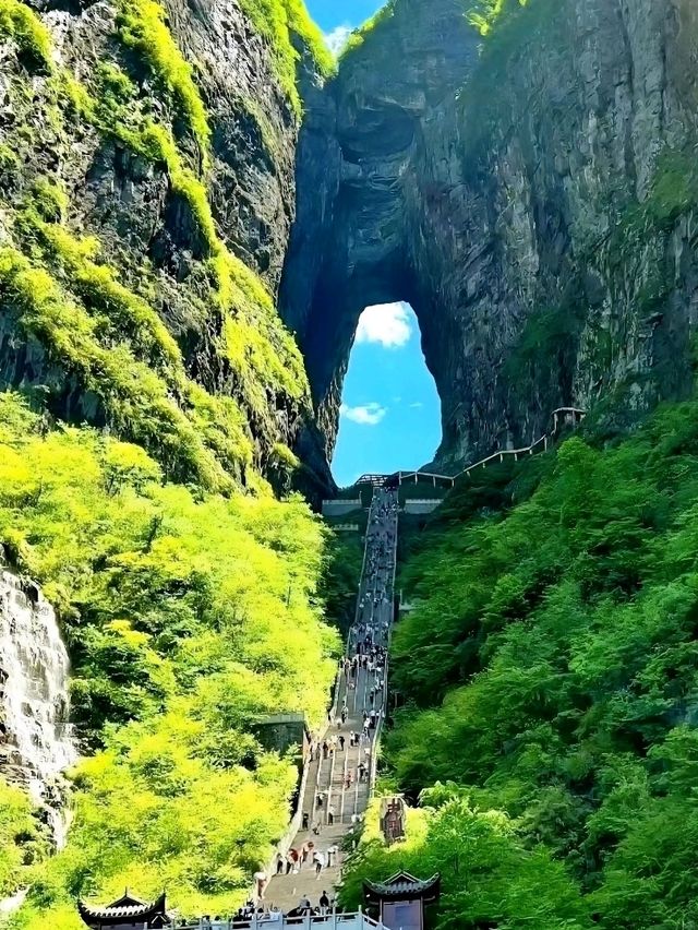 Feeling Like I Stepped Into a Movie – Zhangjiajie Avatar Hallelujah Mountain