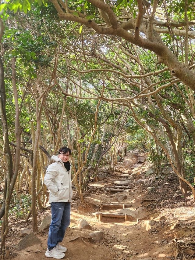 糸島自駕遊～