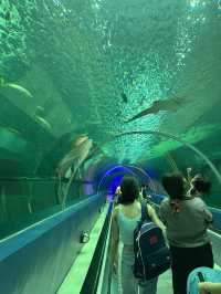 บางแสนก็แค่ปากซอย ไม่มีรถก็เที่ยวได้! 🌊🐠🦀