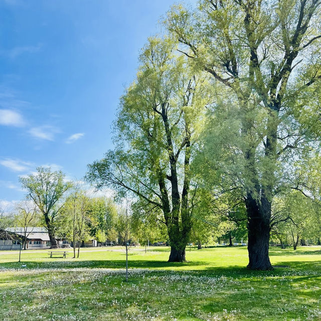 羅馬街公園·美麗綠洲