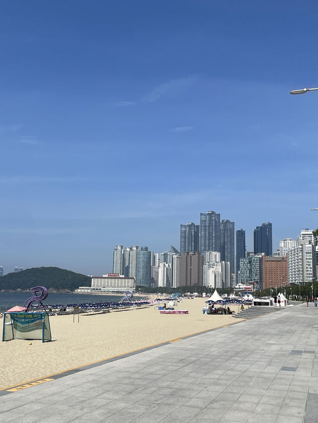 한여름의 열기를 시원하게 날려줄 부산 해운대💙💙