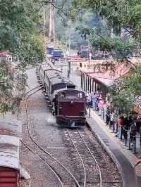 🚂 Puffing Billy Railway 行程时间指南