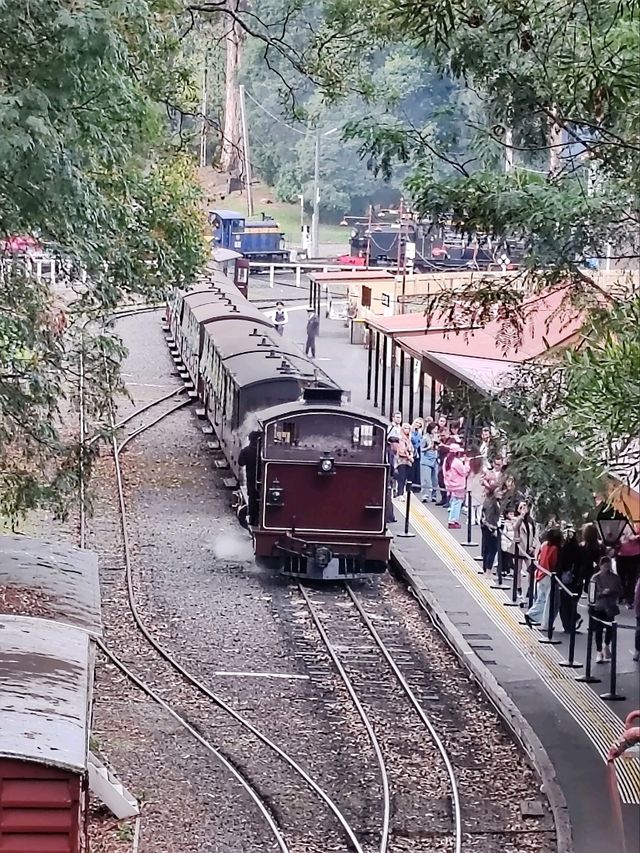 🚂 Puffing Billy Railway 行程时间指南