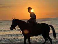 Conservation and stunning views at Gili T
