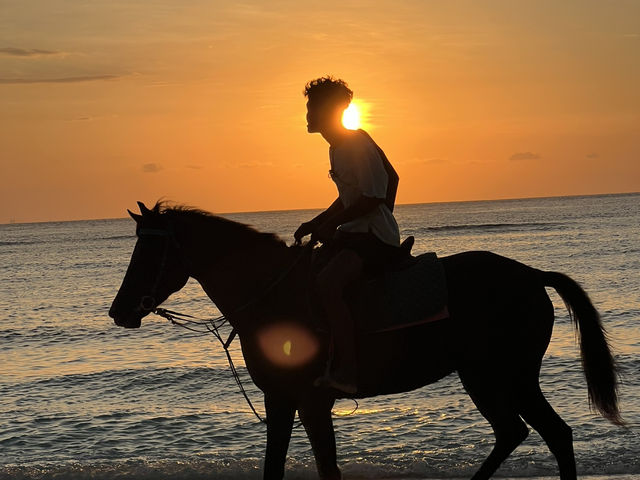 Conservation and stunning views at Gili T