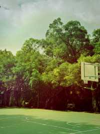 桃園忠義公園介紹 🌳