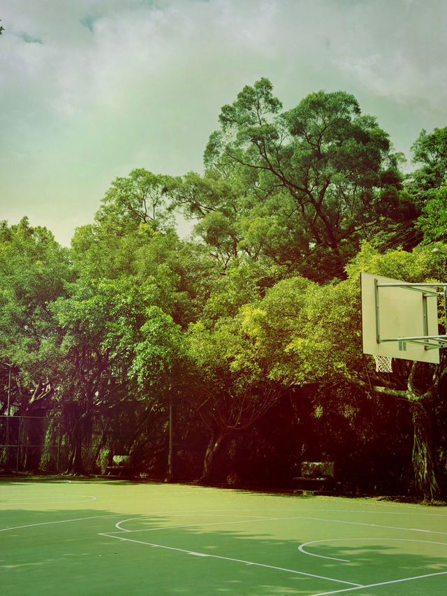 桃園忠義公園介紹 🌳