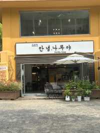 🎋 숲과 바다 사이에서 만나는 안식처, ‘카페 안녕나무야’ 🎋