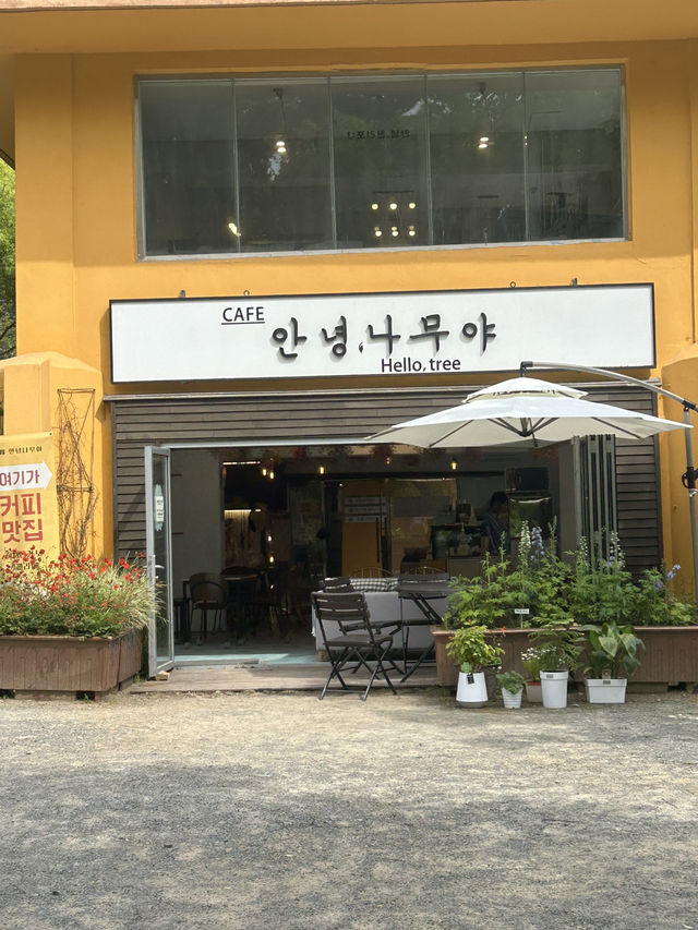 🎋 숲과 바다 사이에서 만나는 안식처, ‘카페 안녕나무야’ 🎋