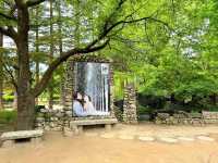Exploring NamiNara Republic at Nami Island, Korea