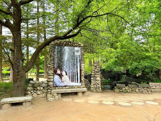 Exploring NamiNara Republic at Nami Island, Korea