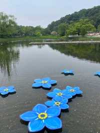 Boramae Park, Seoul – A Peaceful Urban Green Space