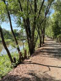 🕊️ Choeung Ek Killing Fields: A Place of Silence, A Plea for Peace ⚖️🌿