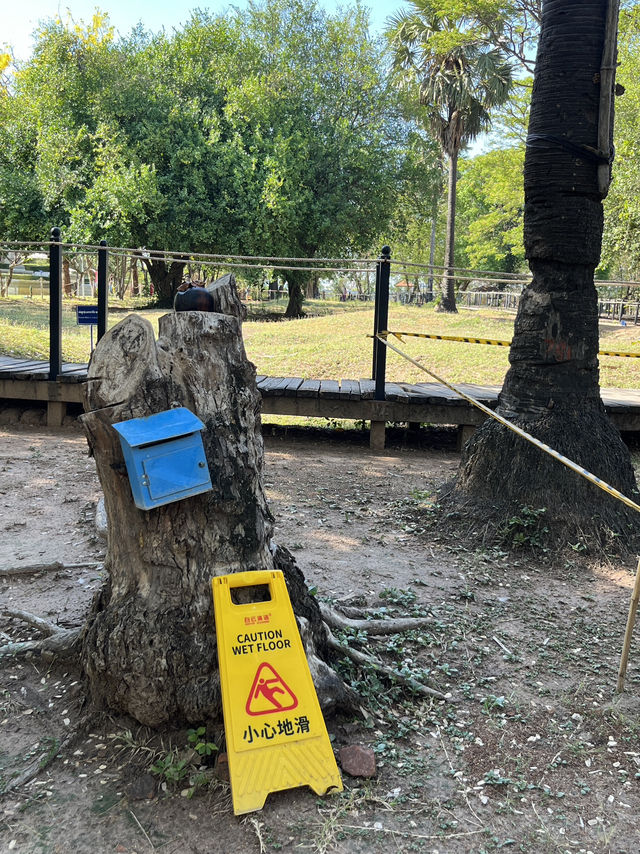 🕊️ Choeung Ek Killing Fields: A Place of Silence, A Plea for Peace ⚖️🌿