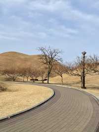 신라 천년의 첨성대를 볼 수 있는 곳
