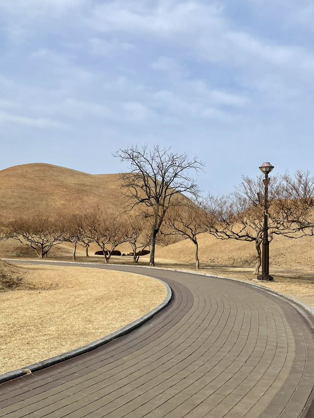 신라 천년의 첨성대를 볼 수 있는 곳