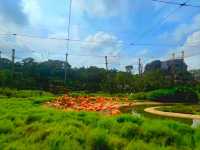 Splash into colors at Crimson Wetlands!