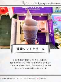 国際通り夏グルメ９選🍨🌺