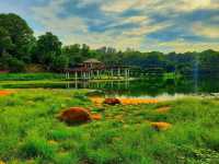 National Botanical Garden, Dhaka: A Calm Green Escape 