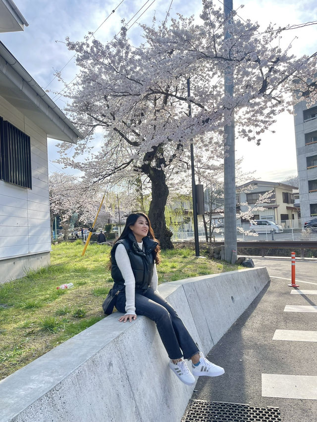 Touched the clouds at Mount Fuji – Japan’s timeless icon 🇯🇵✨