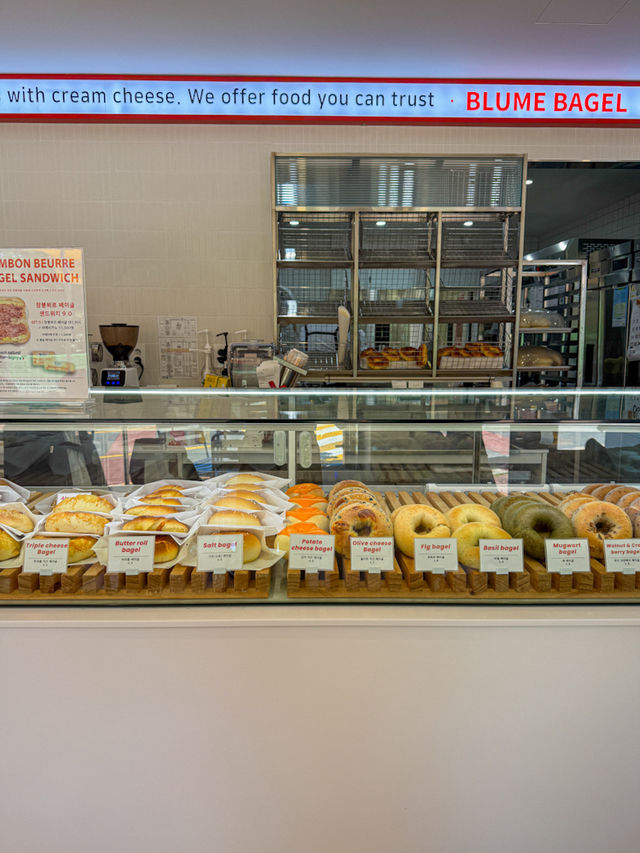제주도민이 추천하는 감성 100% 베이글 맛집🥯