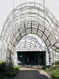 Waseda International House of Literature (Haruki Murakami Library) – A Lyrical Tunnel of Words in To