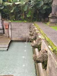 Sacred Pools & Stone Paths, Tirta Gangga’s Timeless Charm